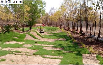 3. मंगता वाइल्डलाइफ पार्क