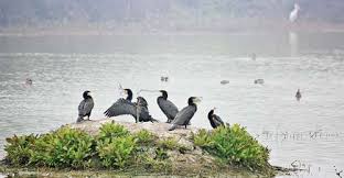 2. लाख बहोसी पक्षी अभयारण्य