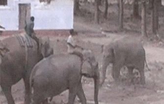 1. बादलखोल अभ्यारण