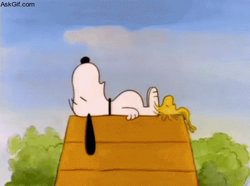 Nap Time Gifs All Gifs At One Place