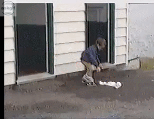 Funny gif's and meme's to help pass the time - Page 1513 — King Community