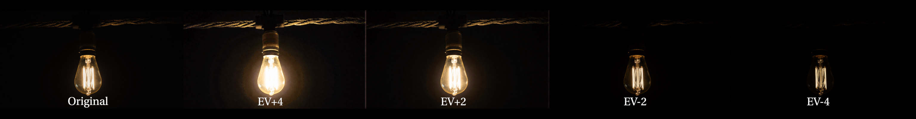 Bulb Comparison
