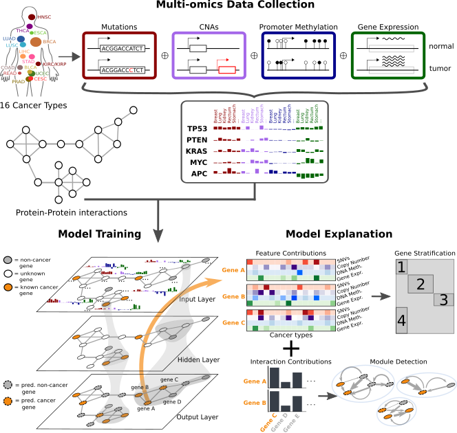 Overview of the EMOGI method