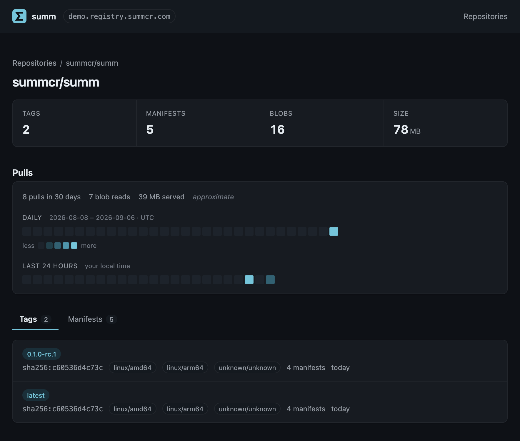 A repository page in summ's web UI