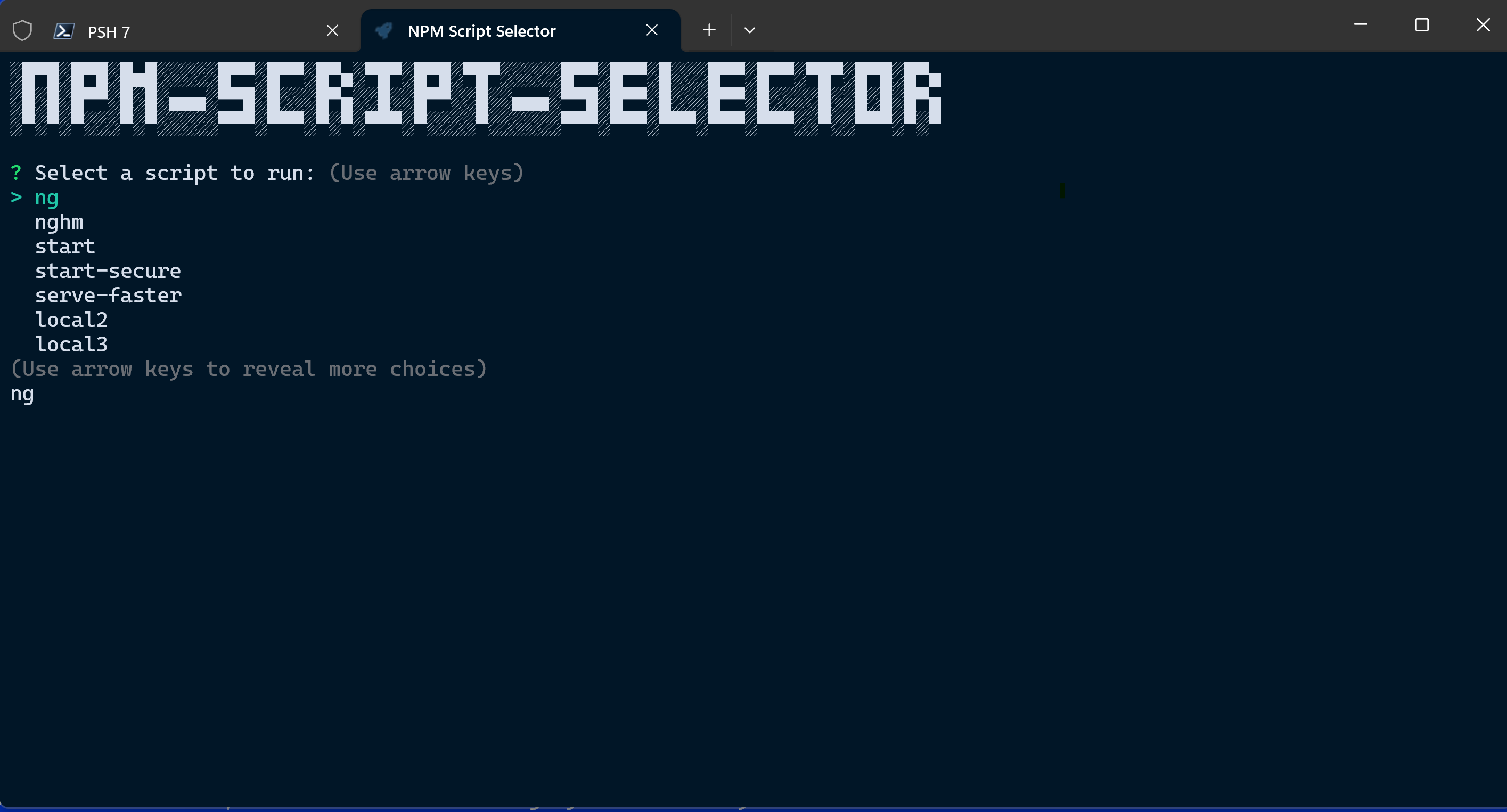 NPM Script Selector Screenshot 20231025