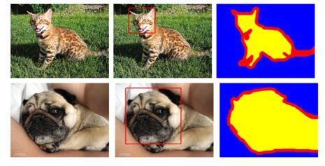 Oxford Pet Dataset Sample