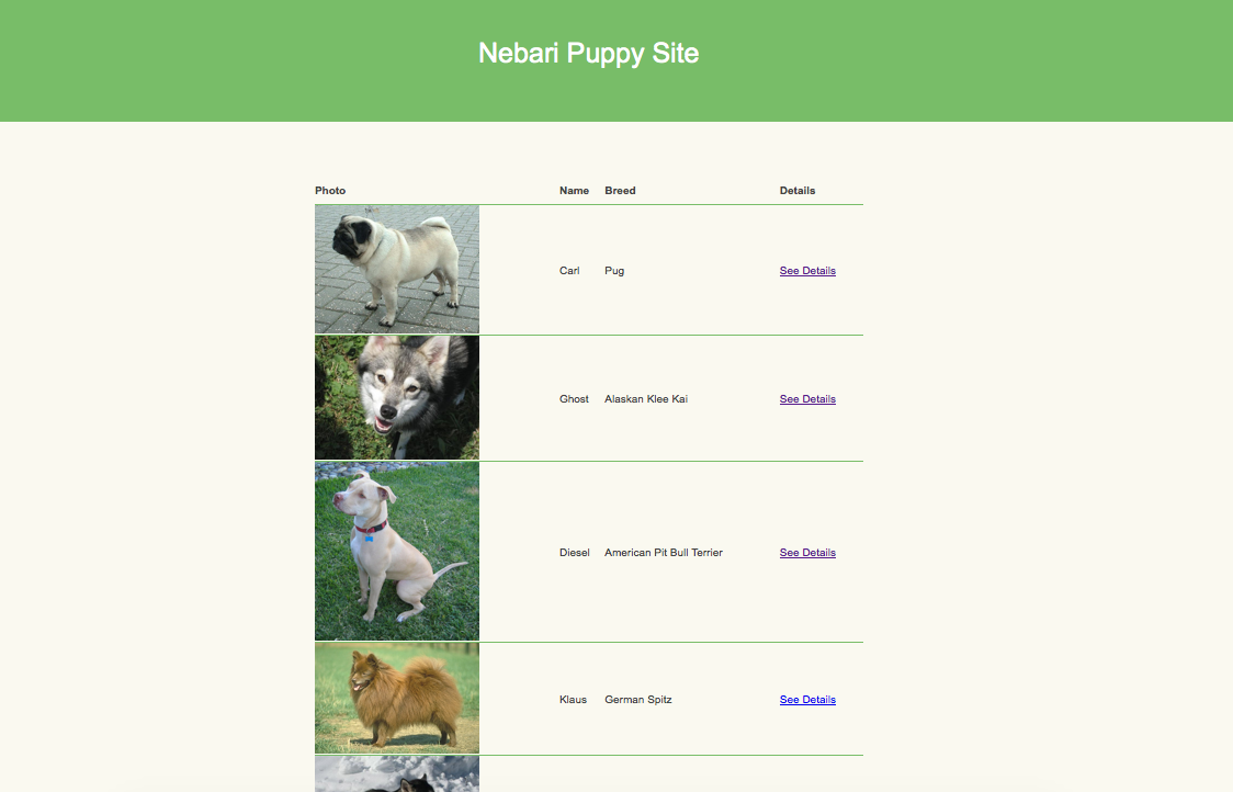 GitHub - sunnysidesounds/nodejs-coding-exercise: This is a Nebari ...