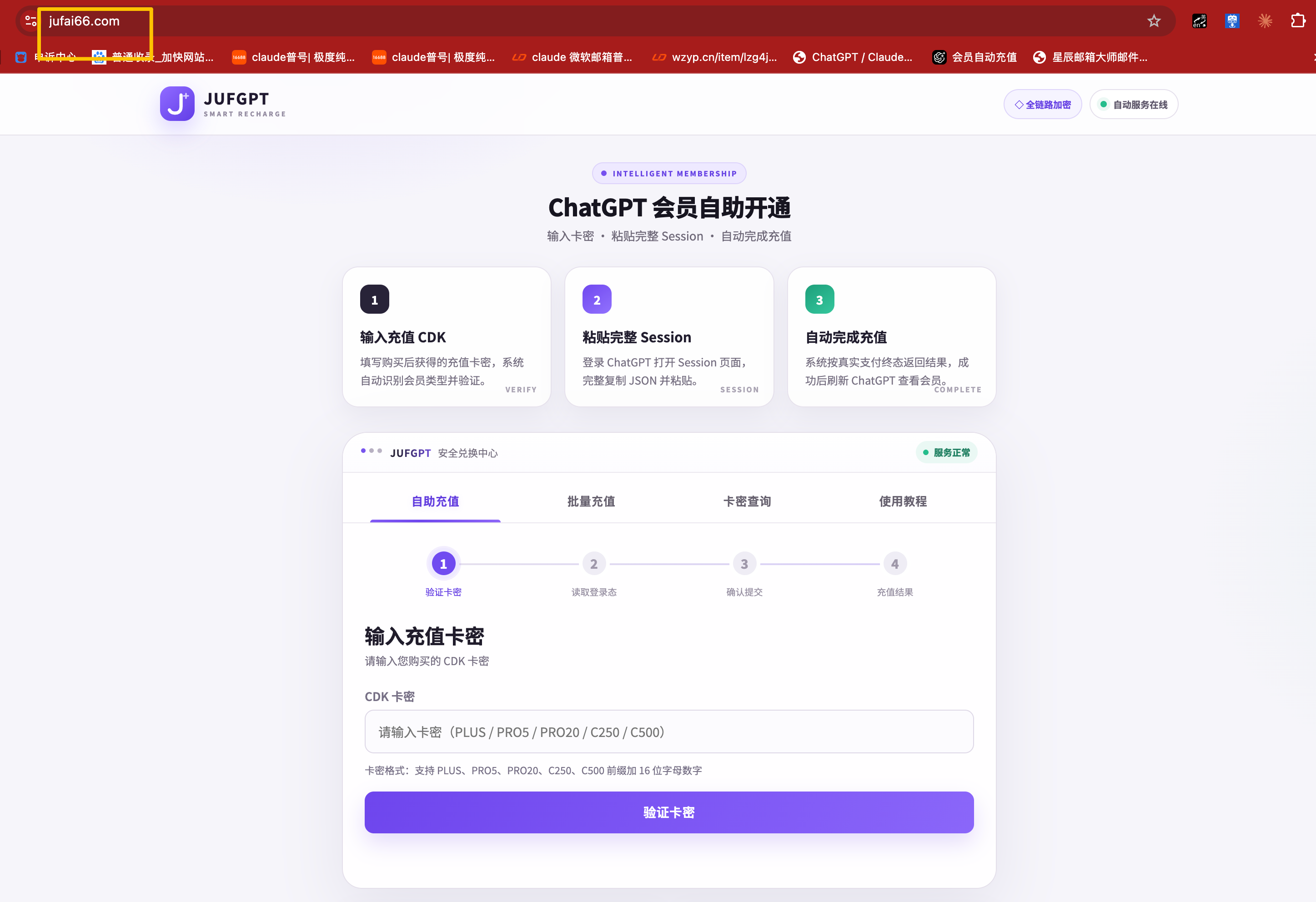 步骤 1：进入 ChatGPT Plus 自助充值系统