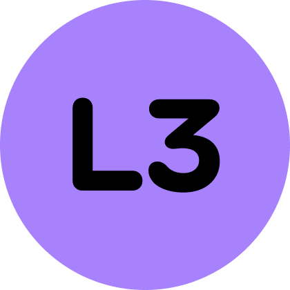 L3-network-icon