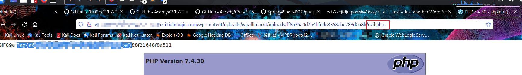 image-20230727090313343