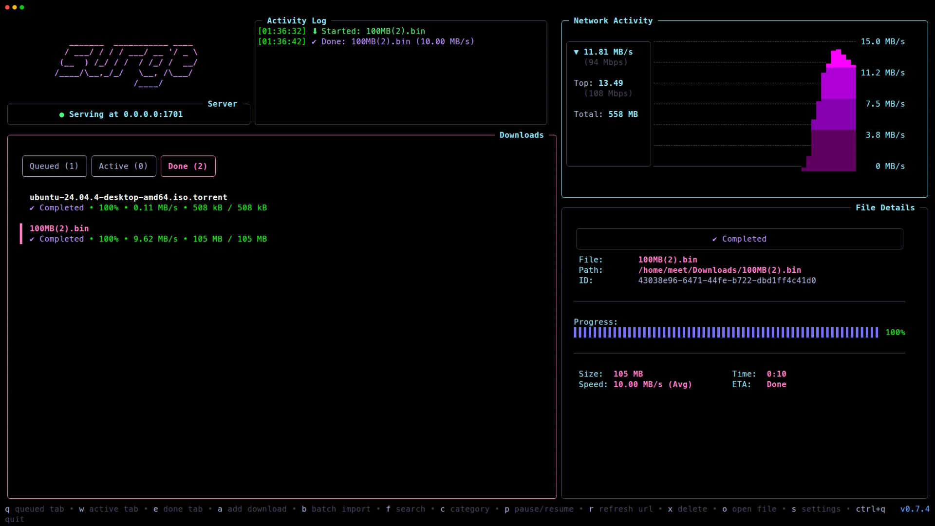 Surge Dashboard — queue management and download overview