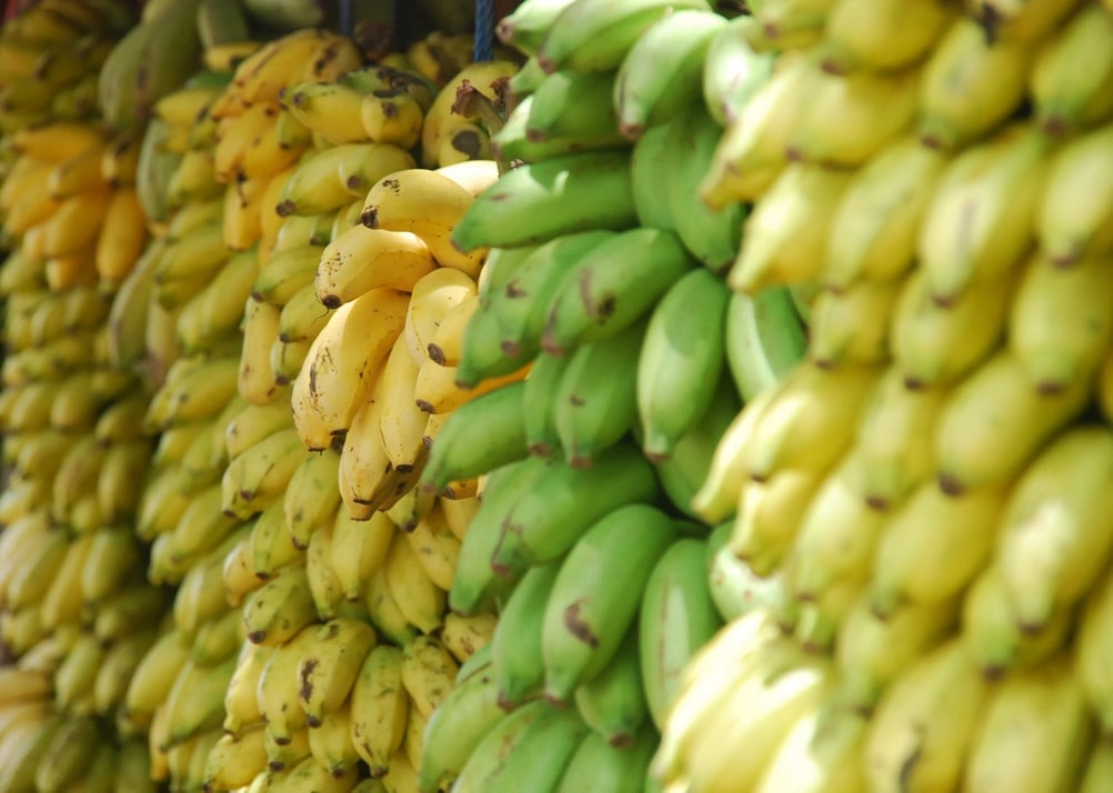 Созревание бананов