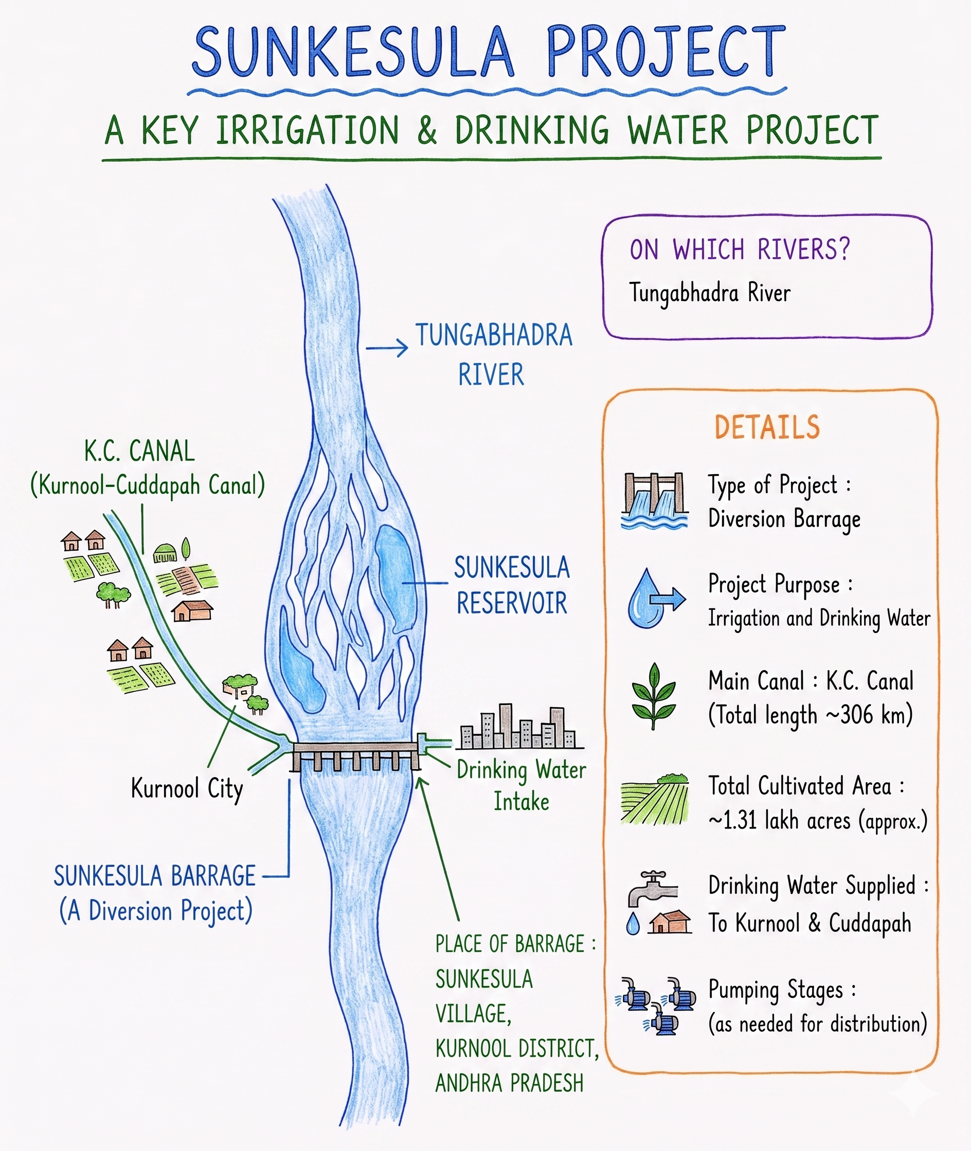 sunekesual project image.png