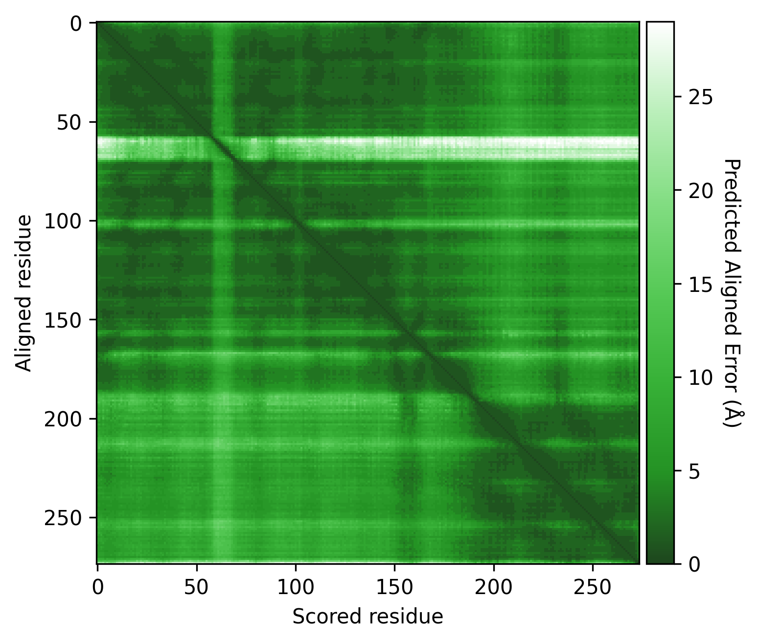 P15807 PAE matrix