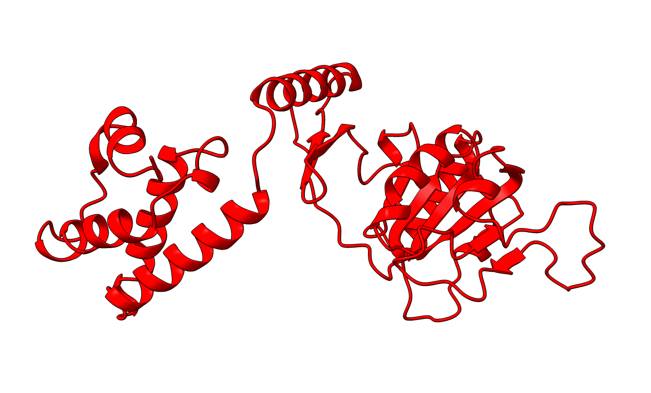 structure colored by resulting domain
