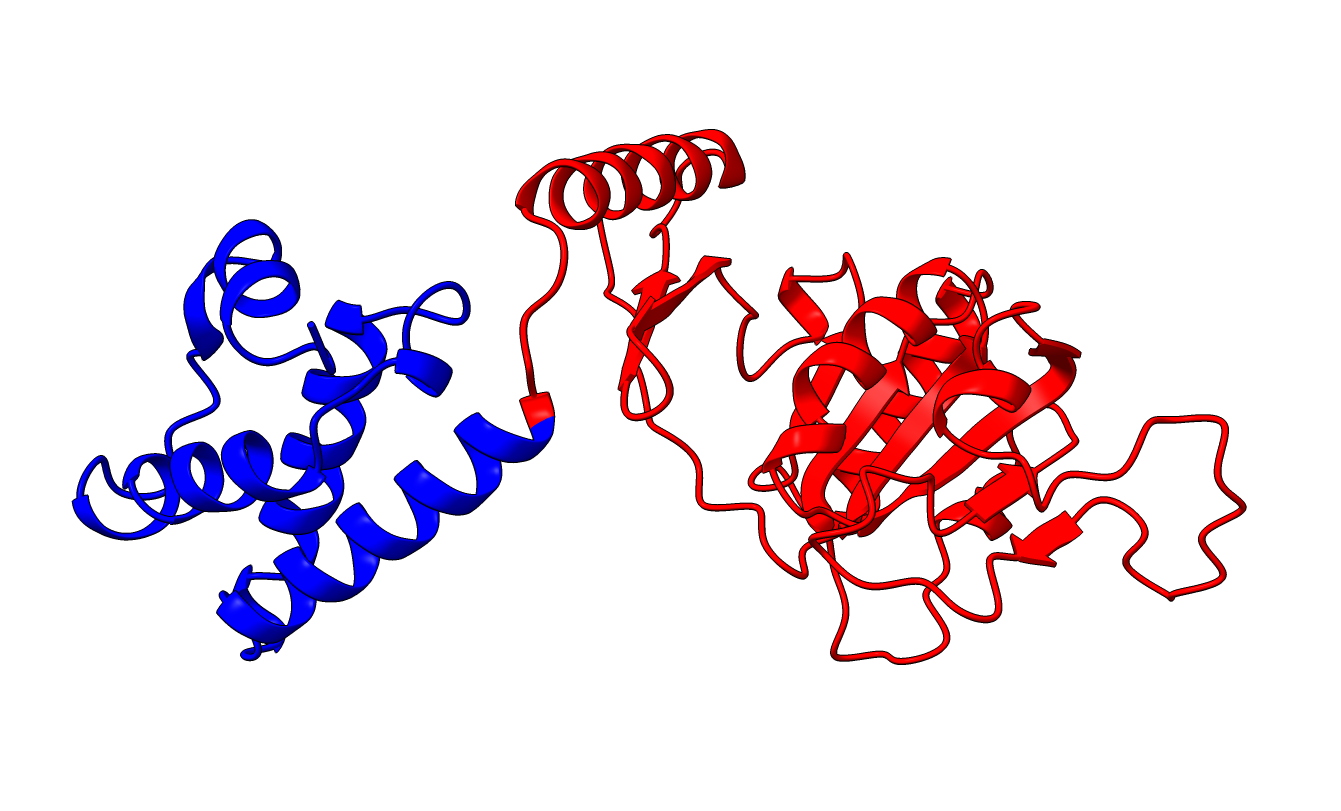 structure colored by resulting domain