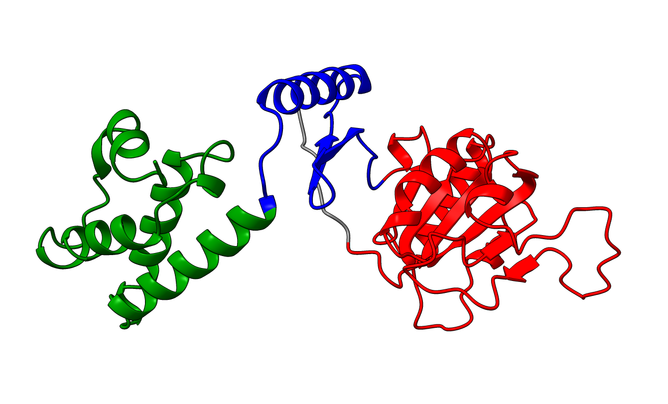 structure colored by resulting domain