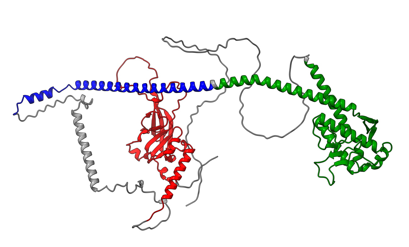 Structure of Q9VK07 threshold 10 and average PAE < 15