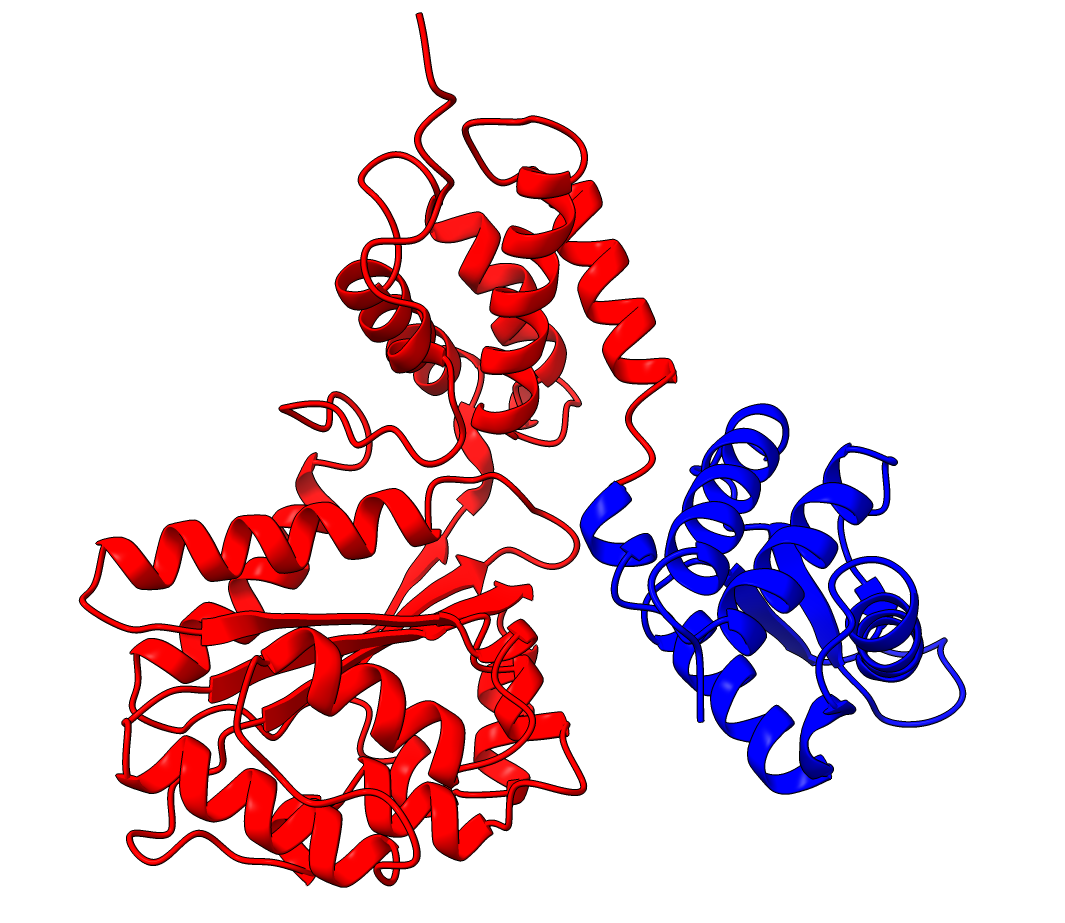 Q9YFU8 two domains colored