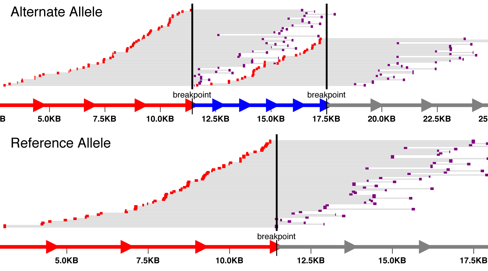 svviz example visualization