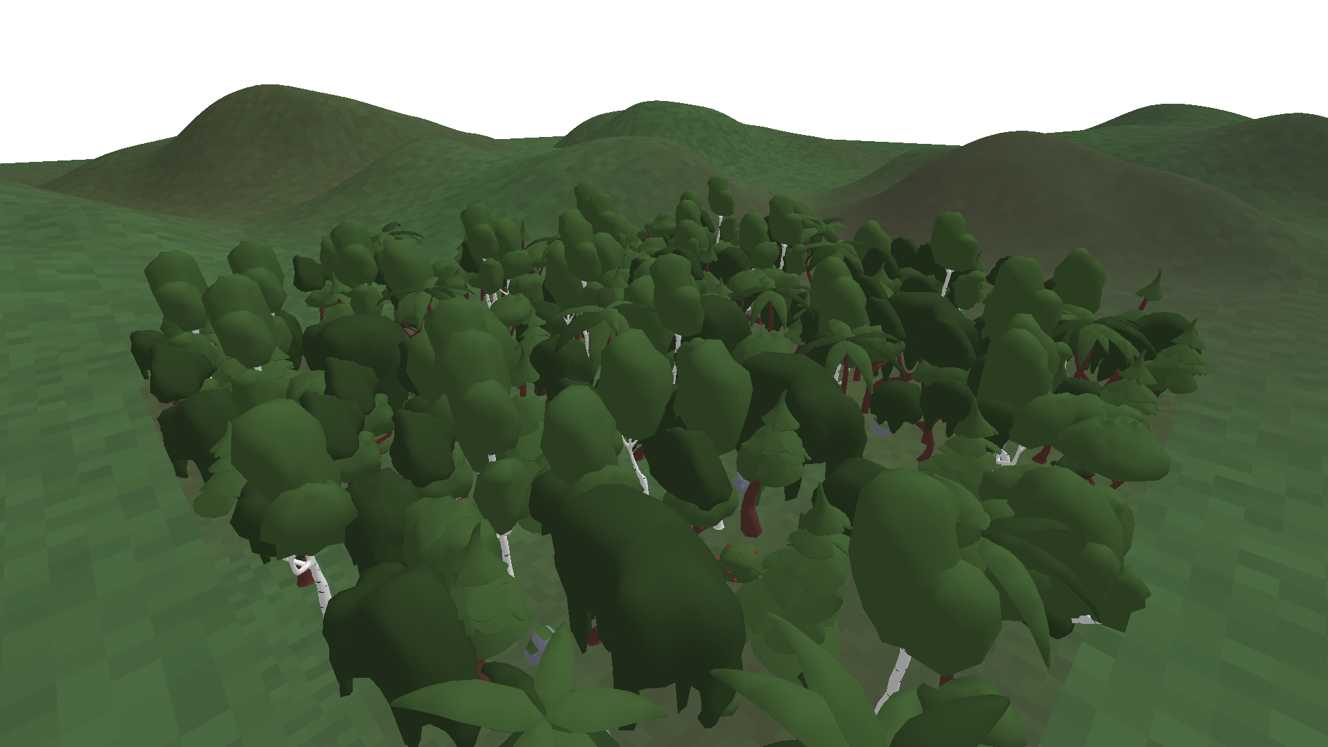 Forest