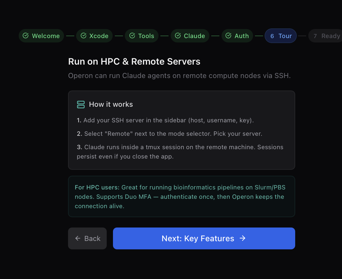 HPC remote workflow