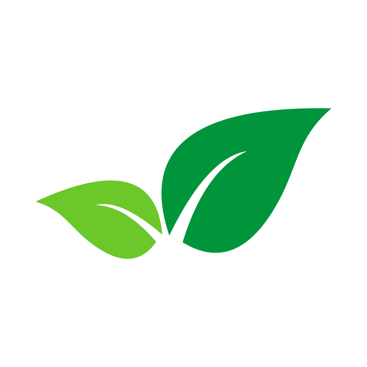 leaf graphic