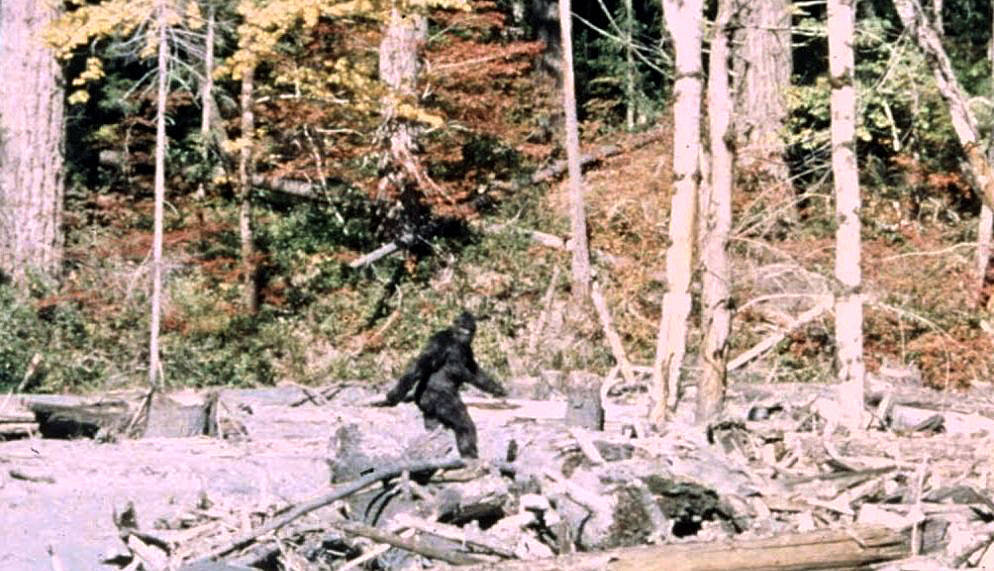 Why Sasquatch Hasn’t Been Caught