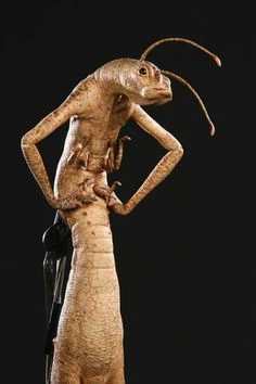 Neeble from the movie Men in Black
