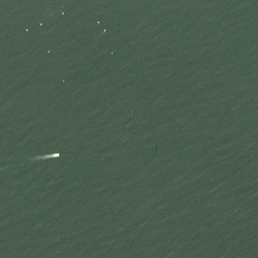 Satellite image showing boats