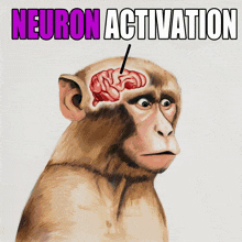Neuron Activation
