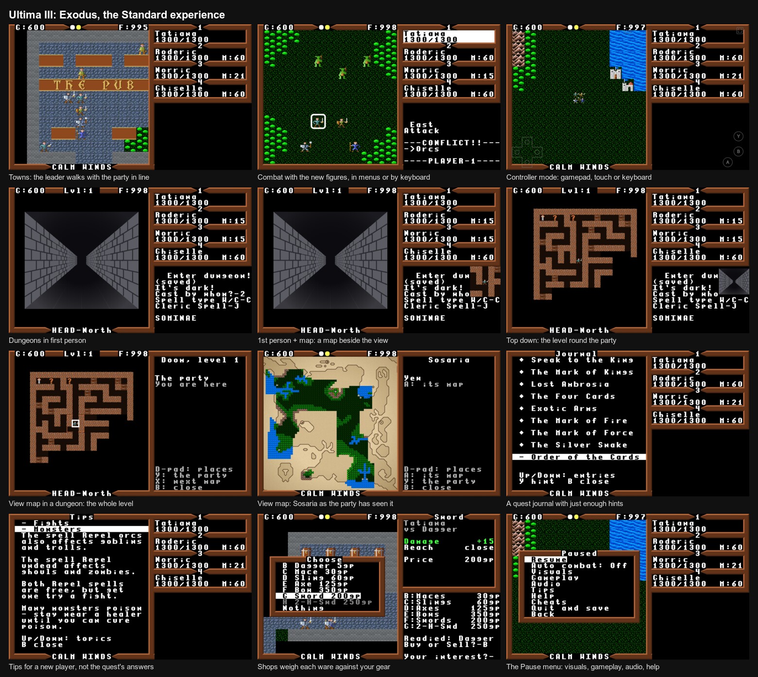 The Standard experience: a town, combat, controller mode, a dungeon in first person, with a map beside the view and top down, a dungeon's View map, the map of Sosaria as the party has seen it, the quest journal, Tips, a shop weighing its wares and the Pause menu