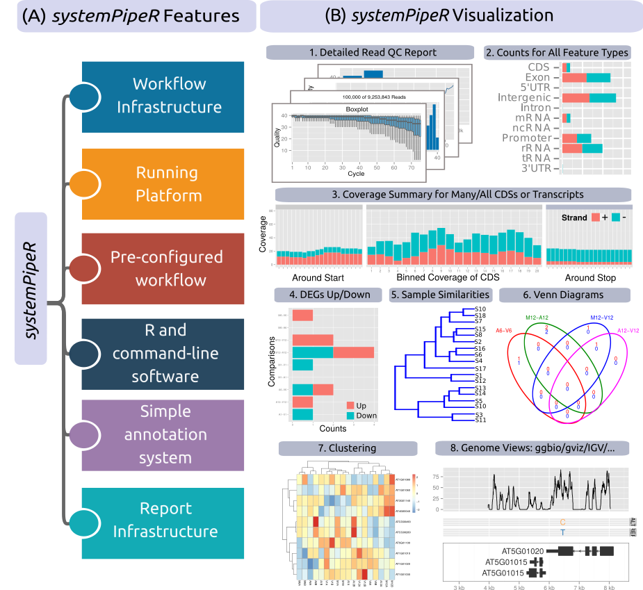 Relevant features in `systemPipeR`. Workflow design concepts are illustrated under (A). Examples of `systemPipeR's` visualization functionalities are given under (B).