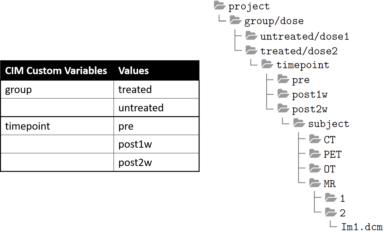 cim-custom-variables