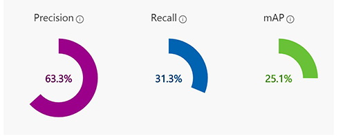 CustomVision Prediction Results