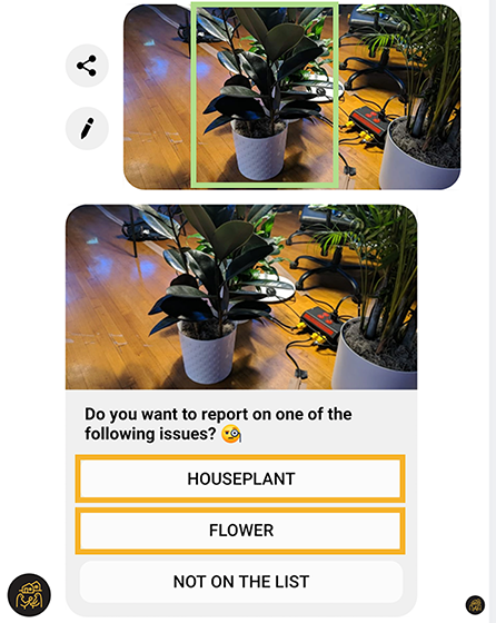 Object Detection Example