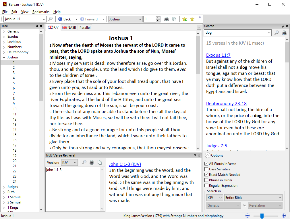 Screenshot of Berean