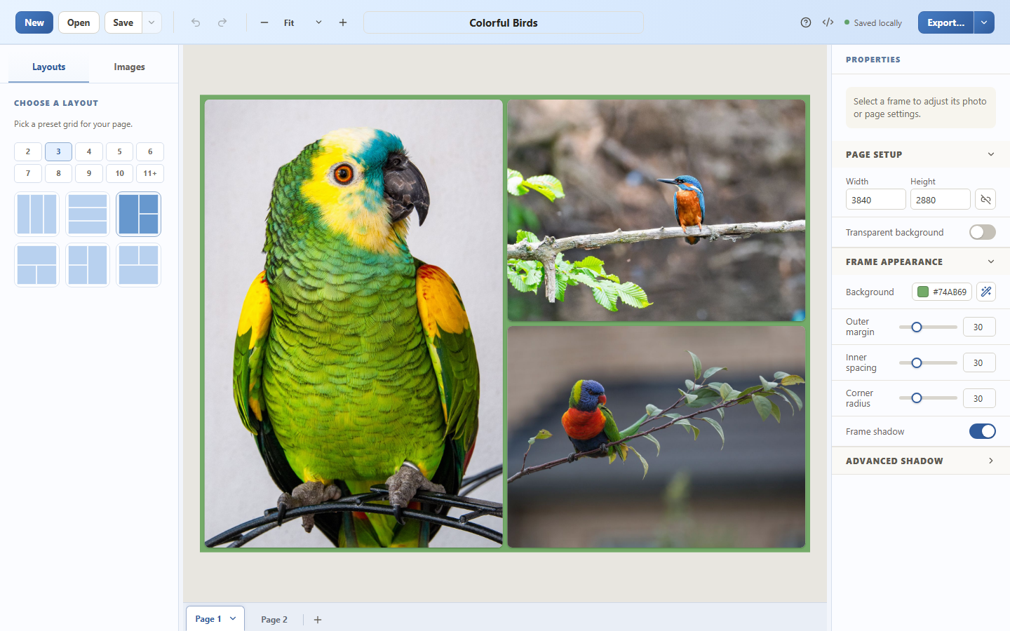Collage Builder editor showing a three-photo bird collage, layout choices, and page appearance controls