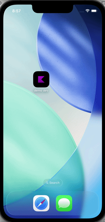 KMP-native-splash iOS demo