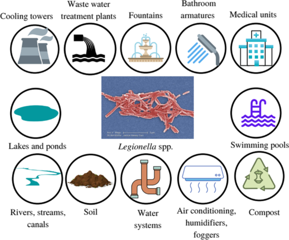 micro-bio-legionella-impact-on-industrial-water-and-human-body