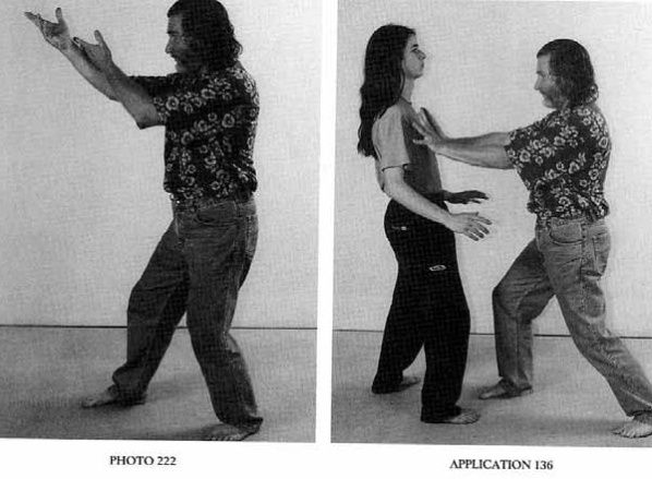 Đỡ Nắm Đấm Bằng Cách Xoay Cánh Tay (Blocking a Fist by Rotating the Arms) — ảnh gốc trang 35