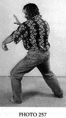 Bẻ Gãy Cánh Tay Bằng Vai Xiên, Kiểm Soát Háng (Breaking the Arm Using Slanting Shoulder, Checking the Groin) — ảnh gốc trang 44