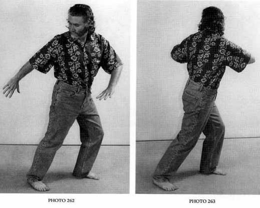 Xoay Người Để Cắt Sườn Bằng Lòng Bàn Tay (Turning the Body to Cut the Ribs with Palm) — (Đối Diện) — ảnh gốc trang 45