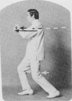 Tư thế 2