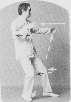 Tư thế 2