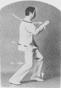 Tư thế 4
