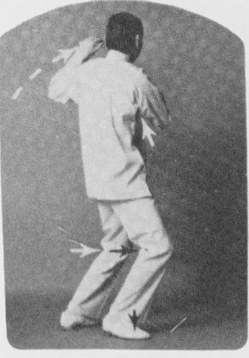 Tư thế 4