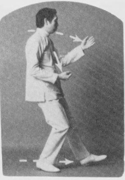 Tư thế 5