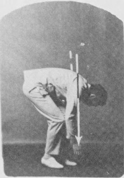 Tư thế 4