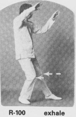 Tư thế 1